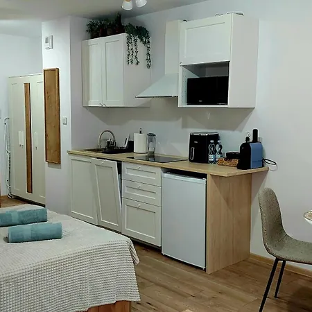 Apartment By The River With Terrace, Basen, Sauna, Jacuzzi, Fitness