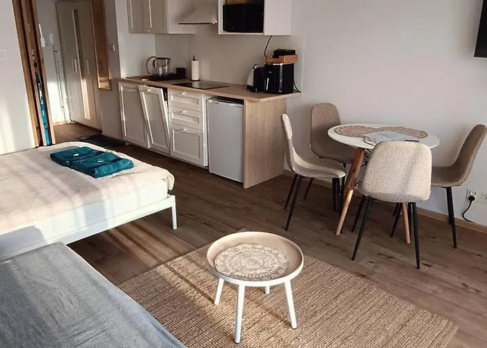 By The River With Terrace, Basen, Sauna, Jacuzzi, Fitness Apartmán Dziwnów